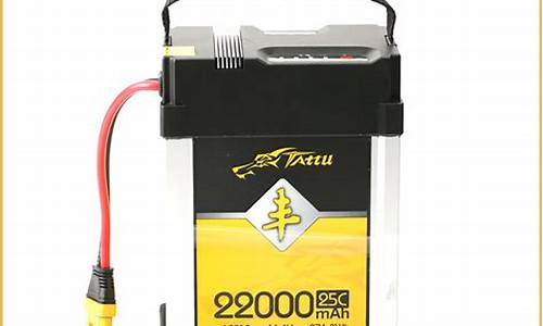 雨燕汽车电池_雨燕汽车电池是多大的型号